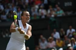 NG体育-包含科维托娃迎来十赛季高光表现，IG球迷沸腾！的词条