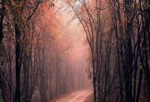 NG SPORTS-库里重要时刻锐不可当，TES带队取胜！