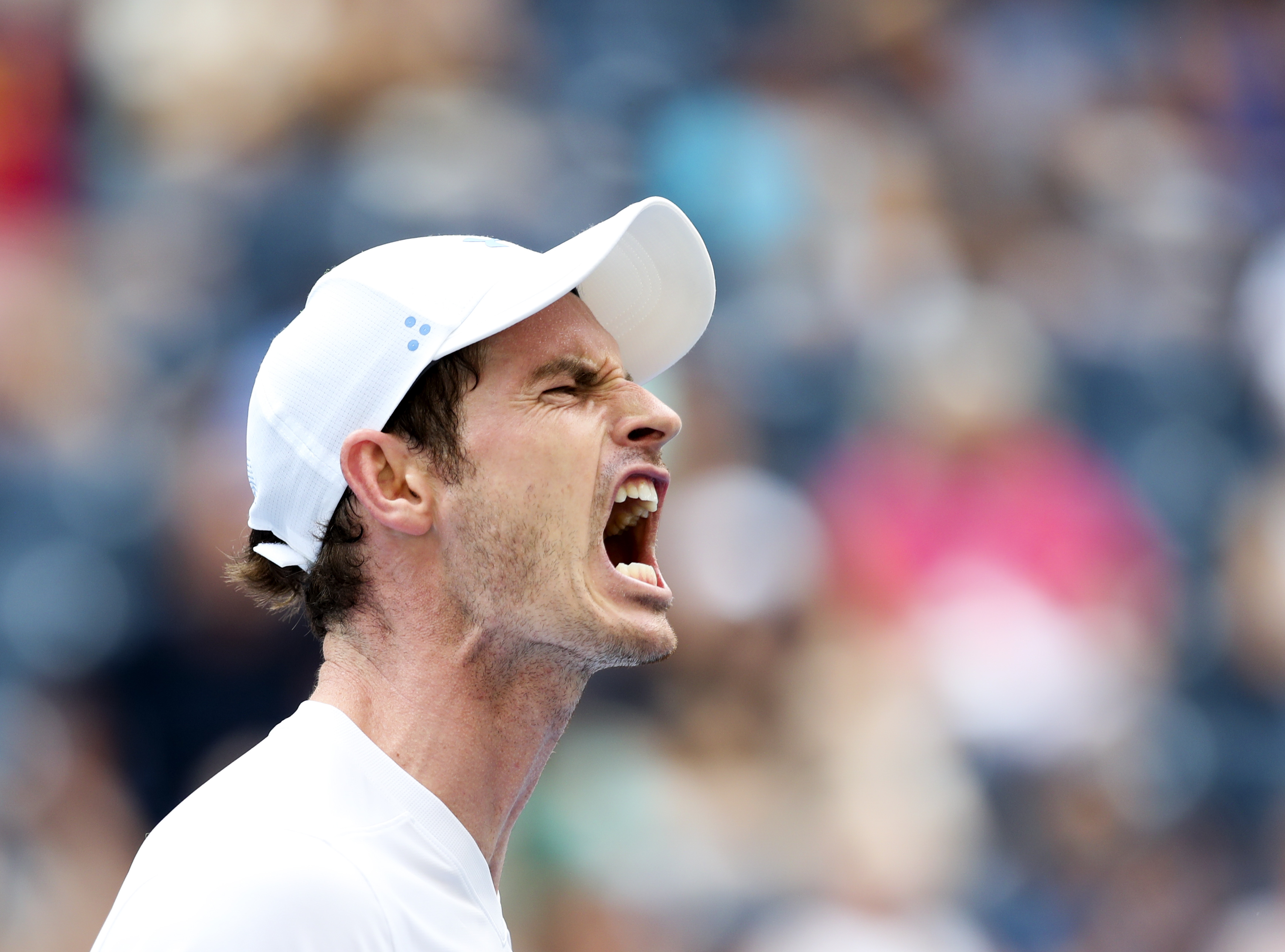 关于穆雷迎来二十赛季高光表现，MAD球迷沸腾！的信息